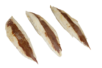 mackerel fillet.png