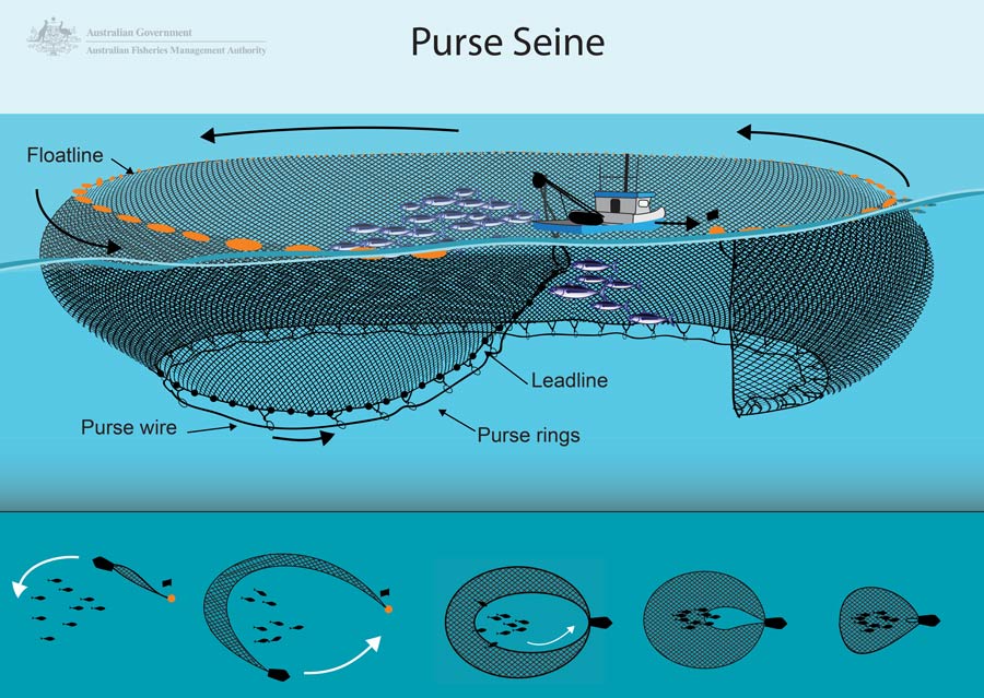 Purse-seine.jpg